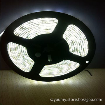 Professional manufacturer of LED strip light SMD 5050 30led/m IP65 white 2 years warranty
